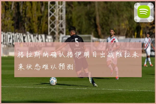 格拉斯纳确认格伊明日出战维拉未来状态难以预测