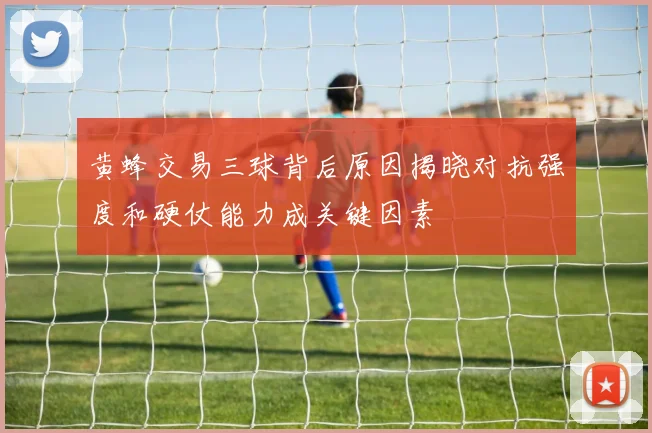 黄蜂交易三球背后原因揭晓对抗强度和硬仗能力成关键因素